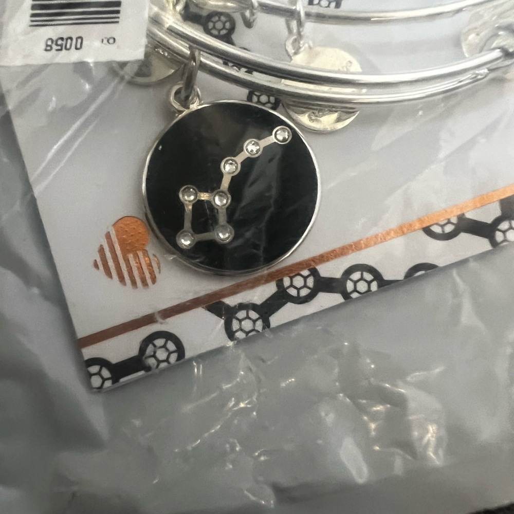 Alex and Ani Big and Little Dipper NWT - Picture 2 of 4